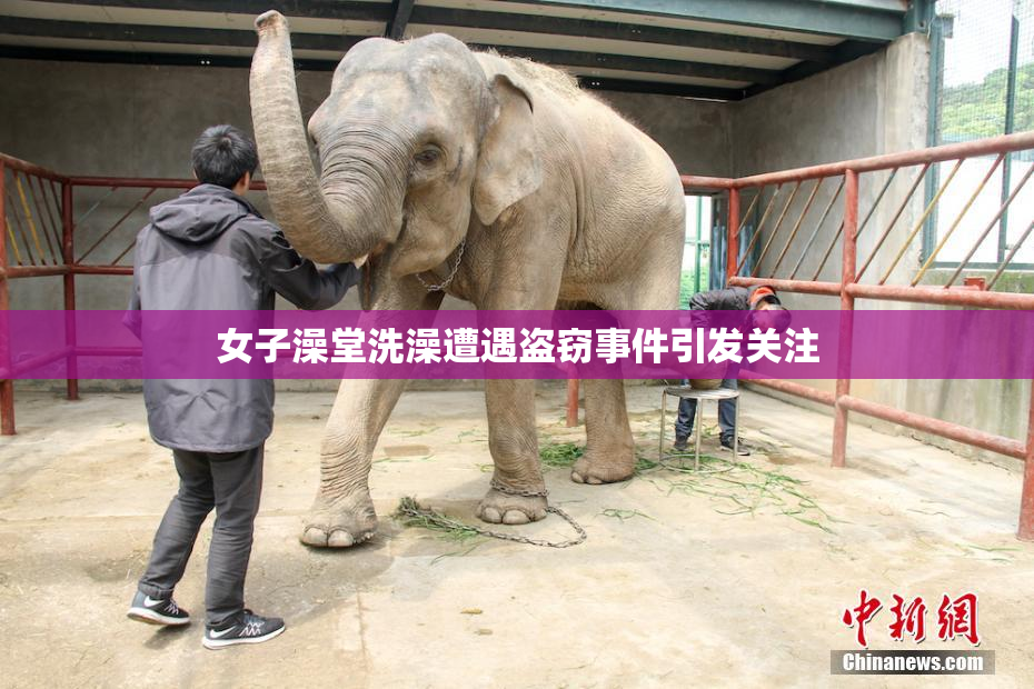 女子澡堂洗澡遭遇盗窃事件引发关注