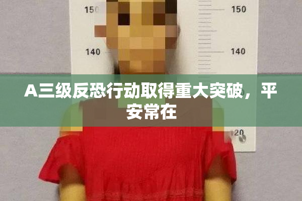 A三级反恐行动取得重大突破，平安常在