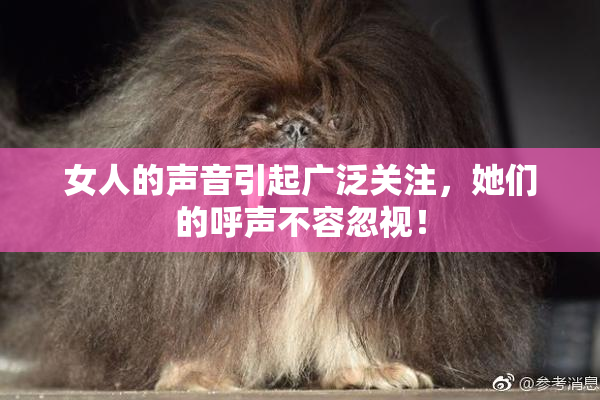 女人的声音引起广泛关注，她们的呼声不容忽视！