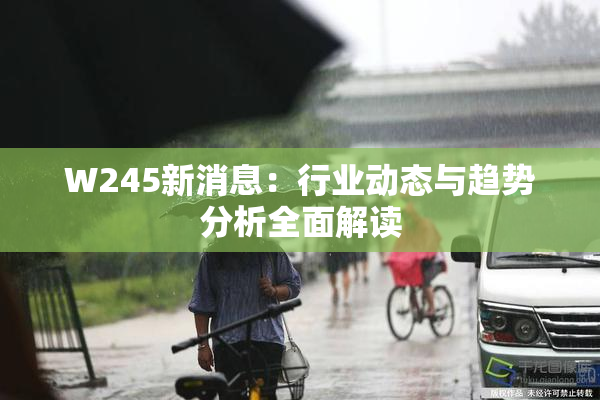 W245新消息：行业动态与趋势分析全面解读