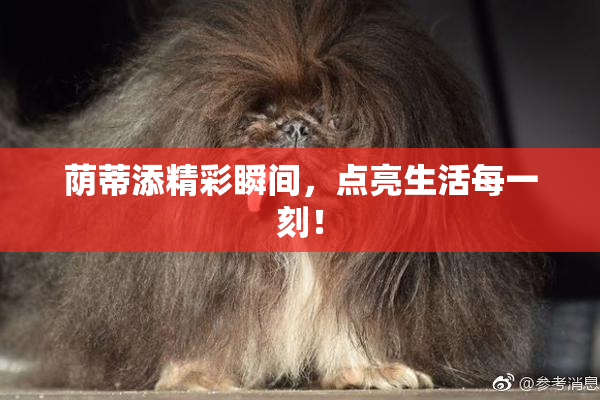 荫蒂添精彩瞬间，点亮生活每一刻！