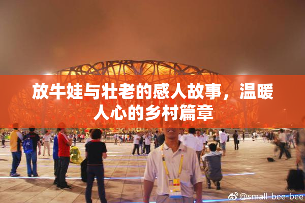 放牛娃与壮老的感人故事，温暖人心的乡村篇章