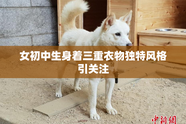 女初中生身着三重衣物独特风格引关注