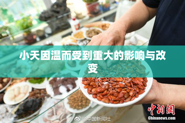 小天因温而受到重大的影响与改变