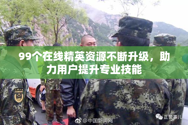99个在线精英资源不断升级，助力用户提升专业技能