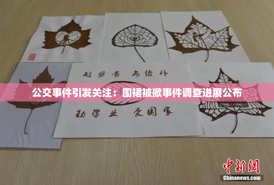 公交事件引发关注：围裙被掀事件调查进展公布