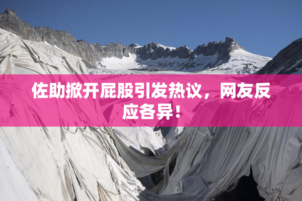 佐助掀开屁股引发热议，网友反应各异！