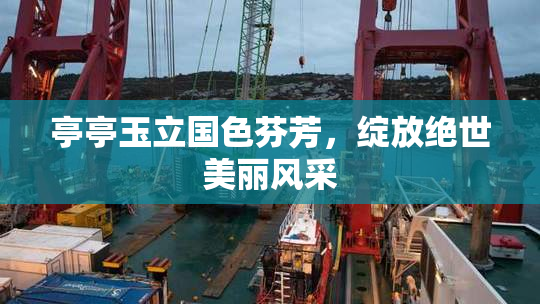 亭亭玉立国色芬芳，绽放绝世美丽风采