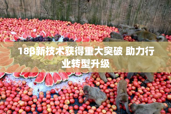 18β新技术获得重大突破 助力行业转型升级