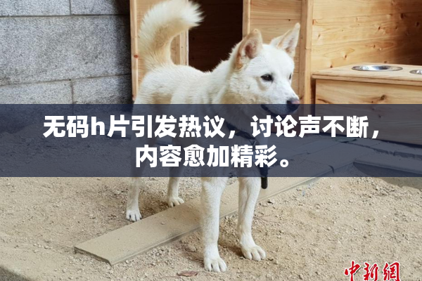 无码h片引发热议，讨论声不断，内容愈加精彩。