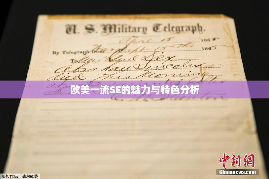 欧美一流SE的魅力与特色分析
