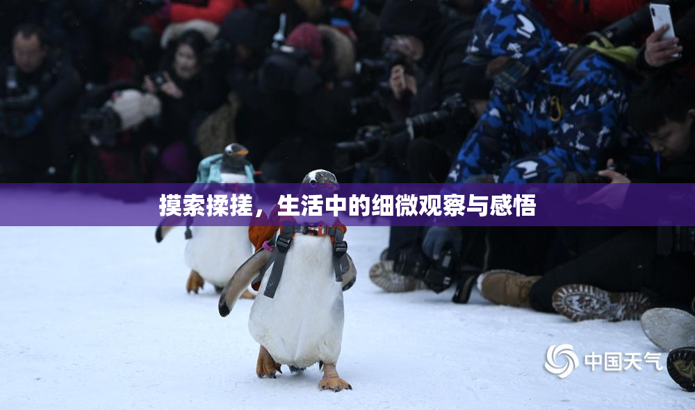 摸索揉搓，生活中的细微观察与感悟