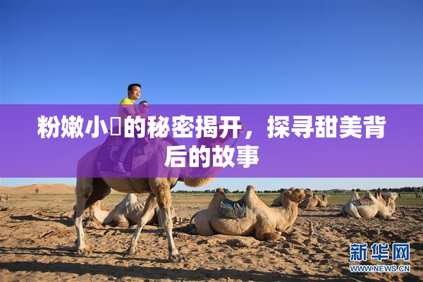 粉嫩小泬的秘密揭开，探寻甜美背后的故事