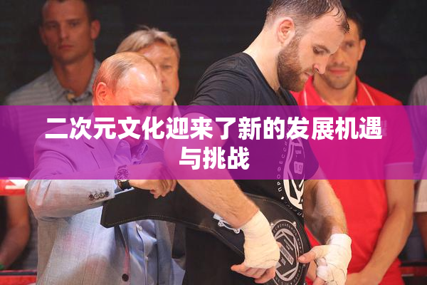 二次元文化迎来了新的发展机遇与挑战