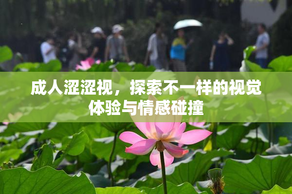 成人涩涩视，探索不一样的视觉体验与情感碰撞
