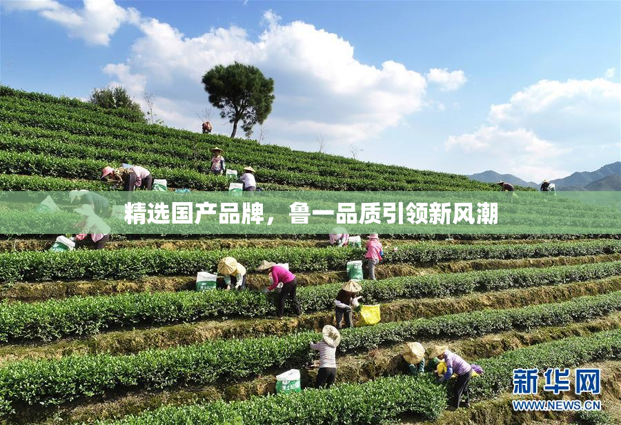 精选国产品牌，鲁一品质引领新风潮