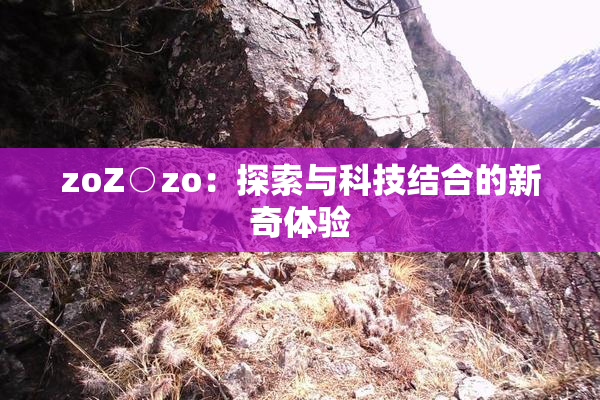 zoZ○zo：探索与科技结合的新奇体验