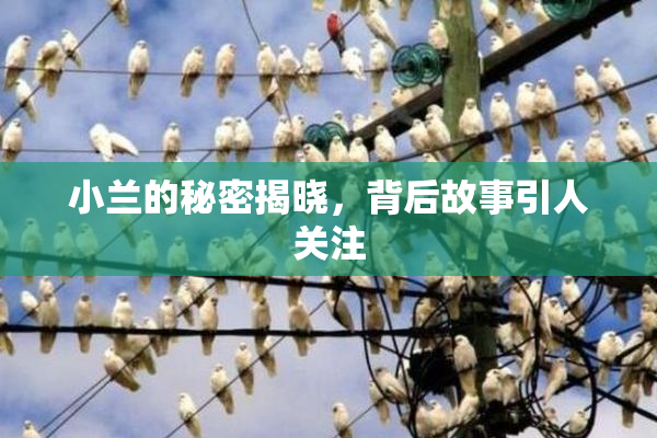 小兰的秘密揭晓，背后故事引人关注