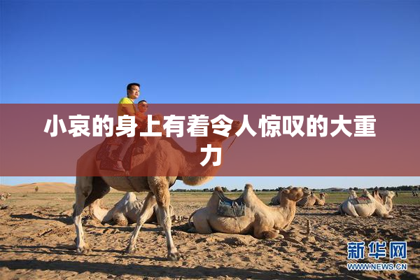 小哀的身上有着令人惊叹的大重力