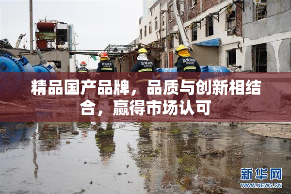 精品国产品牌，品质与创新相结合，赢得市场认可