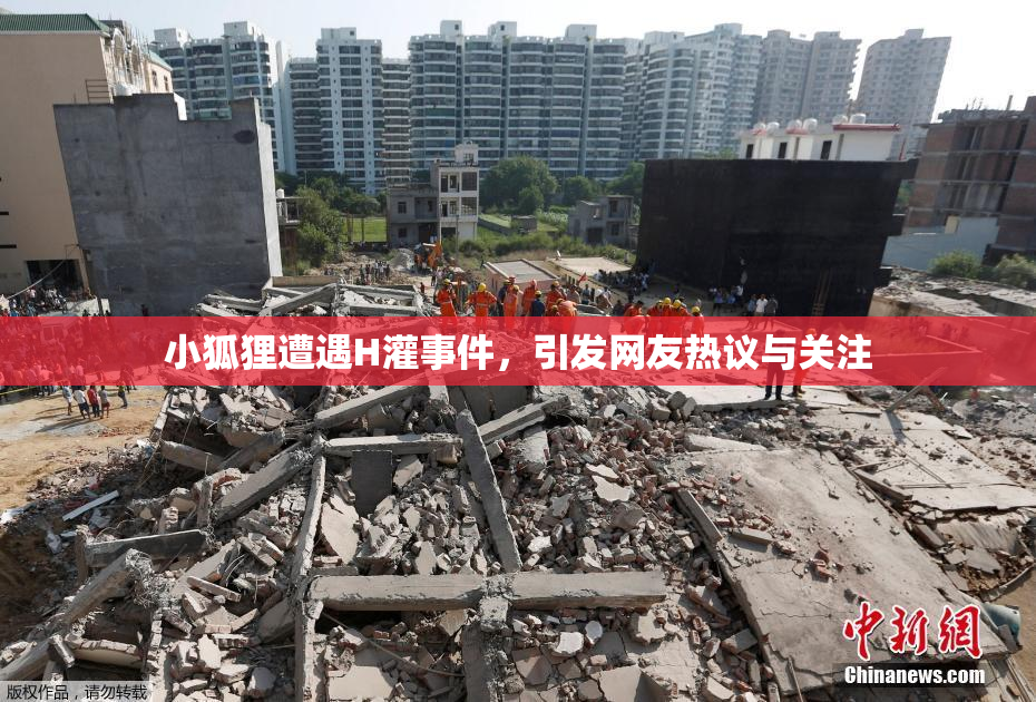 小狐狸遭遇H灌事件，引发网友热议与关注