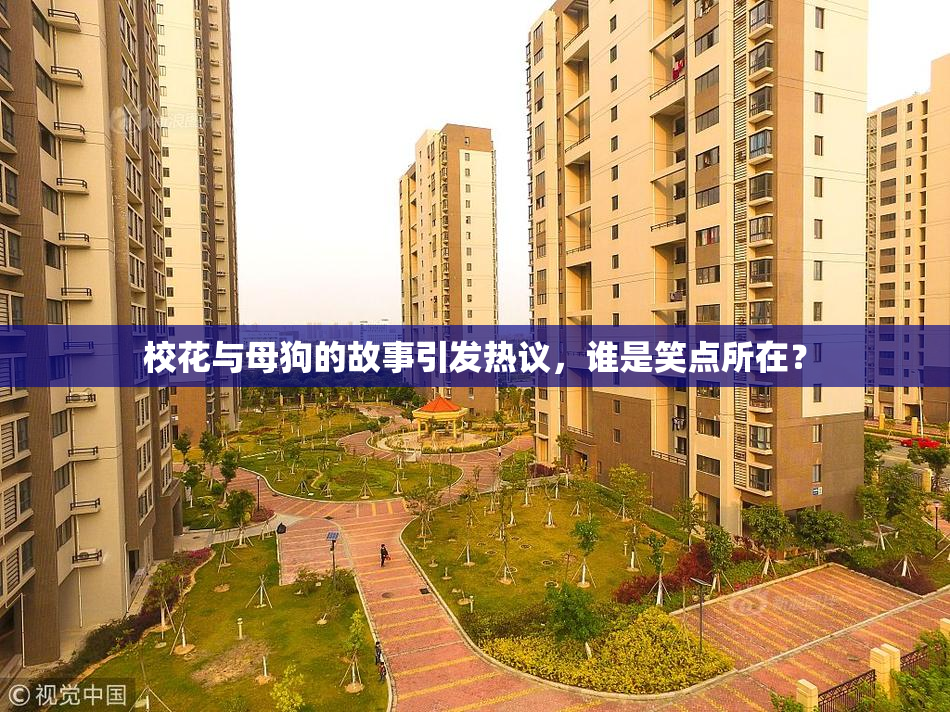 校花与母狗的故事引发热议，谁是笑点所在？