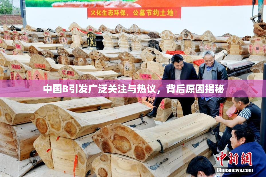 中国B引发广泛关注与热议，背后原因揭秘