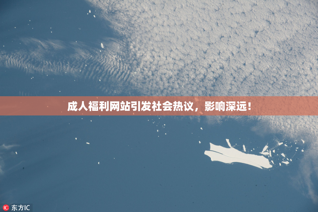 成人福利网站引发社会热议，影响深远！