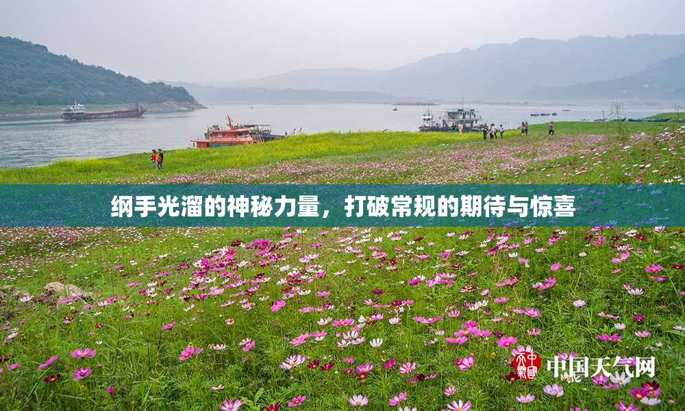 纲手光溜的神秘力量，打破常规的期待与惊喜