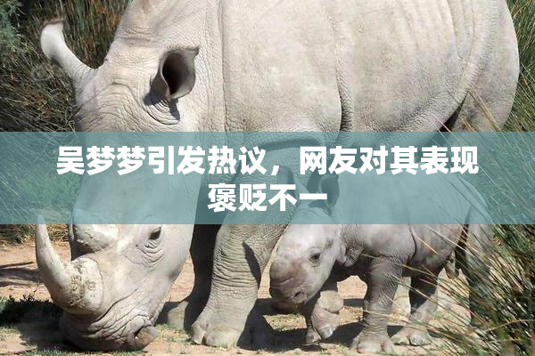 吴梦梦引发热议，网友对其表现褒贬不一