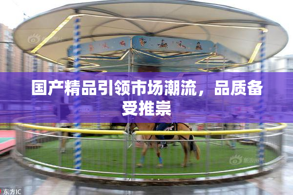国产精品引领市场潮流，品质备受推崇