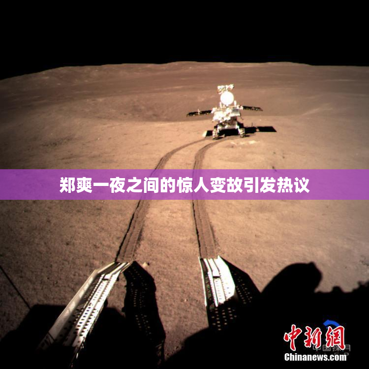 郑爽一夜之间的惊人变故引发热议