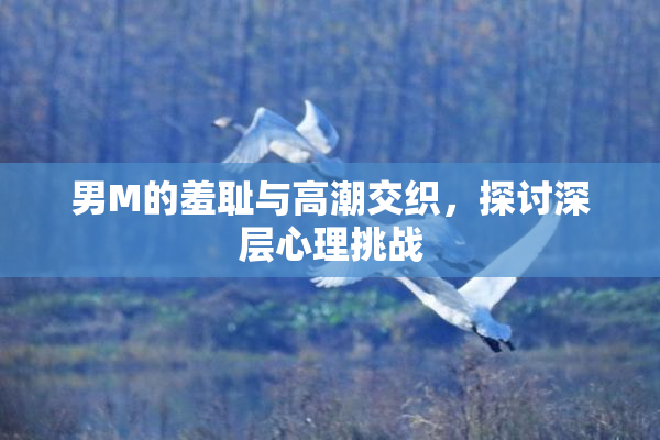 男M的羞耻与高潮交织，探讨深层心理挑战