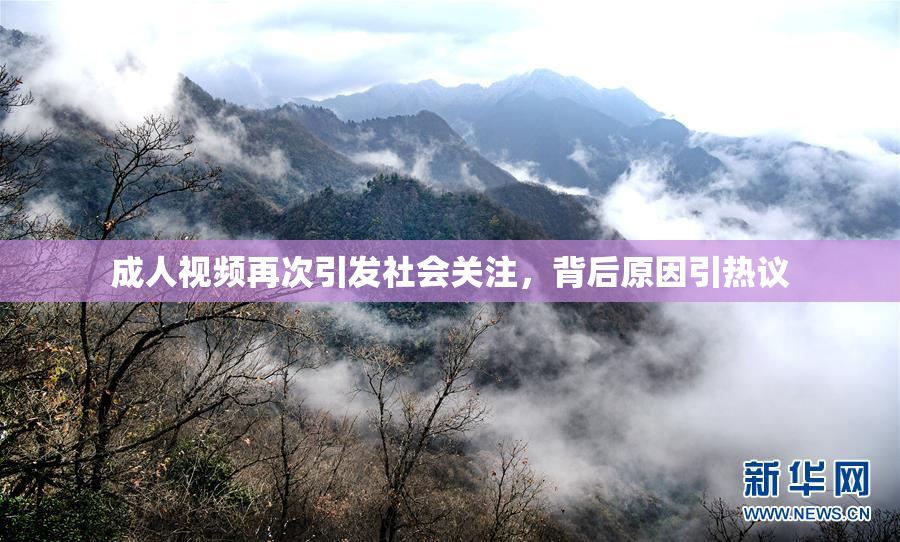 成人视频再次引发社会关注，背后原因引热议