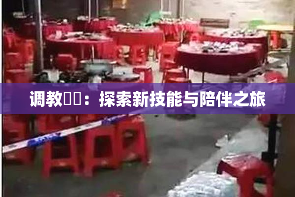 调教妺妺：探索新技能与陪伴之旅