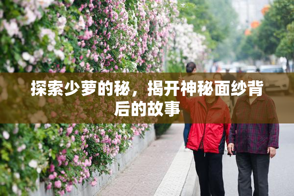 探索少萝的秘，揭开神秘面纱背后的故事