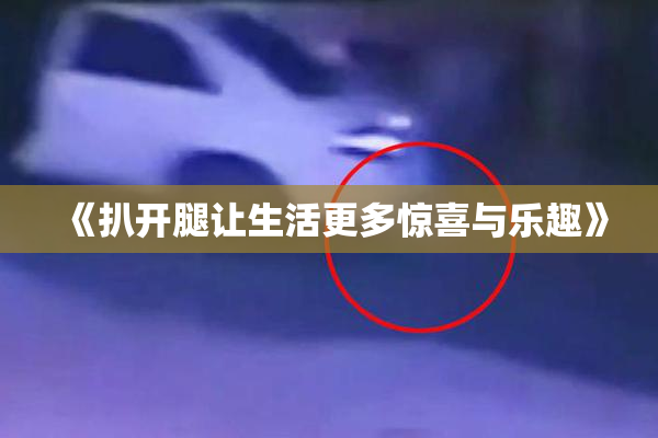 《扒开腿让生活更多惊喜与乐趣》