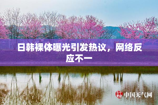 日韩裸体曝光引发热议，网络反应不一