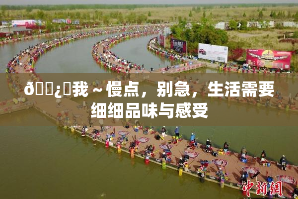 🌿‌我～慢点，别急，生活需要细细品味与感受