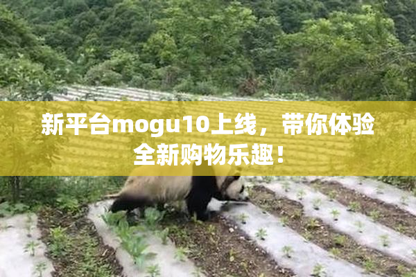 新平台mogu10上线，带你体验全新购物乐趣！
