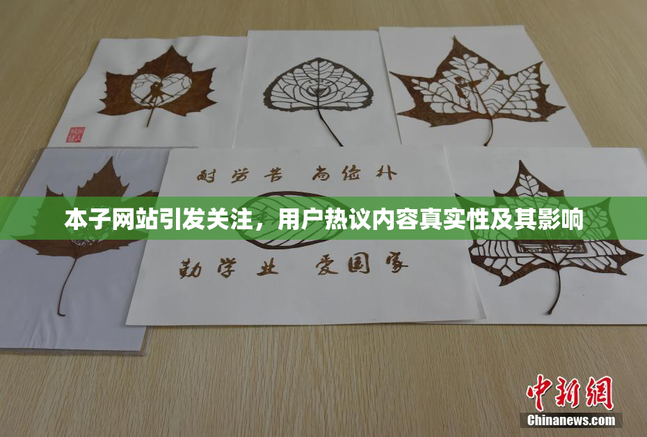 本子网站引发关注，用户热议内容真实性及其影响