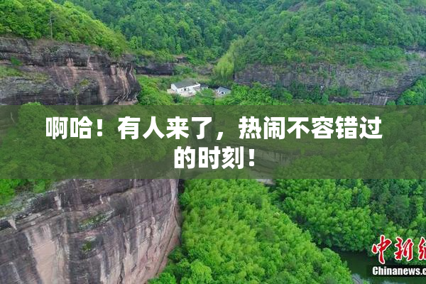 啊哈！有人来了，热闹不容错过的时刻！