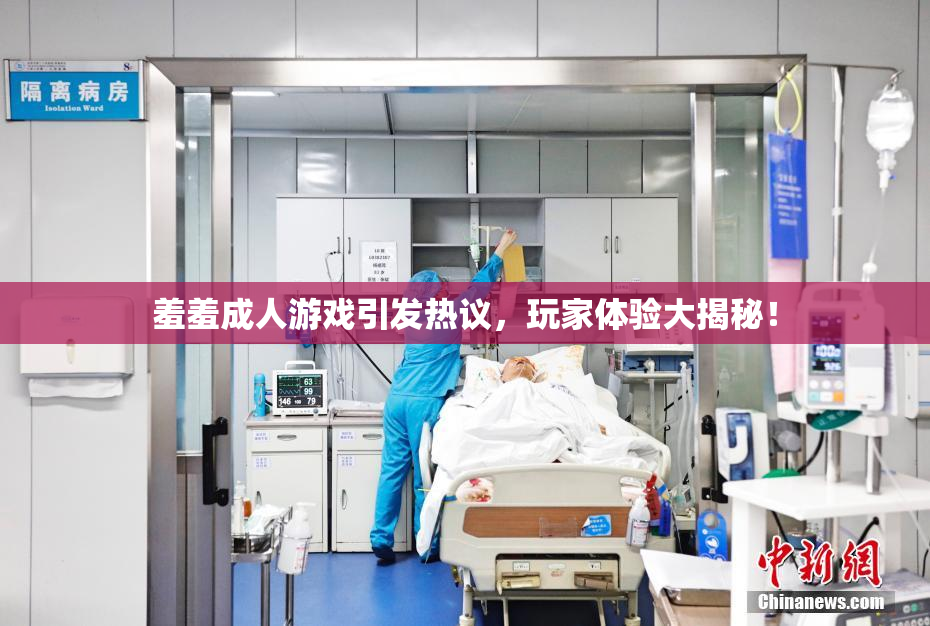 羞羞成人游戏引发热议，玩家体验大揭秘！