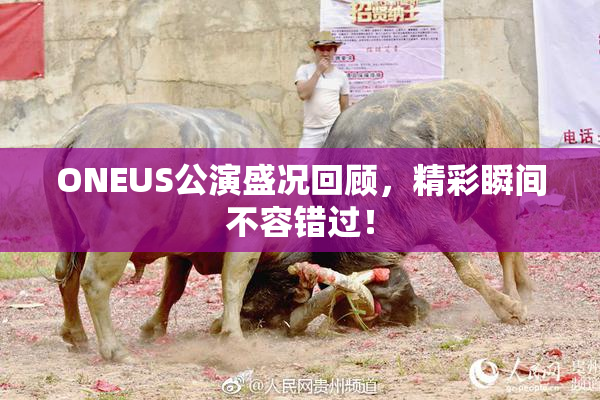 ONEUS公演盛况回顾，精彩瞬间不容错过！