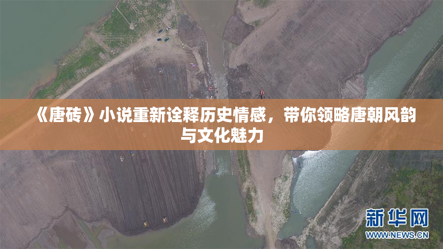 《唐砖》小说重新诠释历史情感，带你领略唐朝风韵与文化魅力