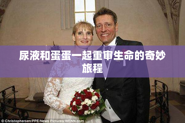 尿液和蛋蛋一起重审生命的奇妙旅程
