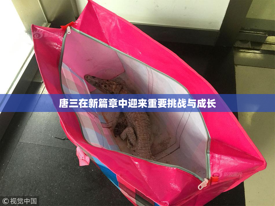 唐三在新篇章中迎来重要挑战与成长