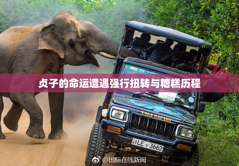 贞子的命运遭遇强行扭转与糟糕历程