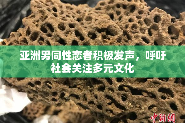 亚洲男同性恋者积极发声，呼吁社会关注多元文化