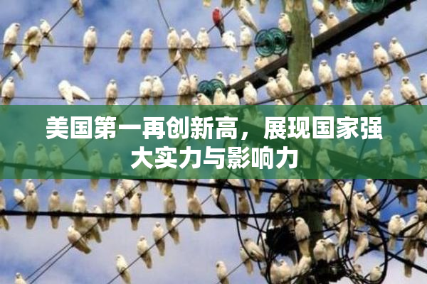 美国第一再创新高，展现国家强大实力与影响力